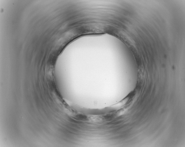 X0000088180141200706051151