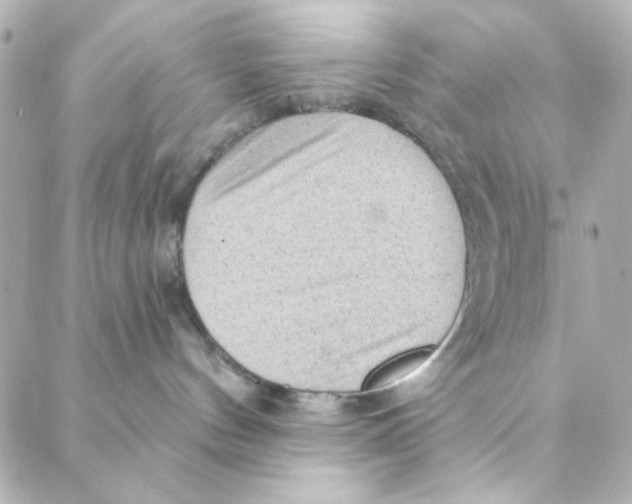 X0000088180144200706051151