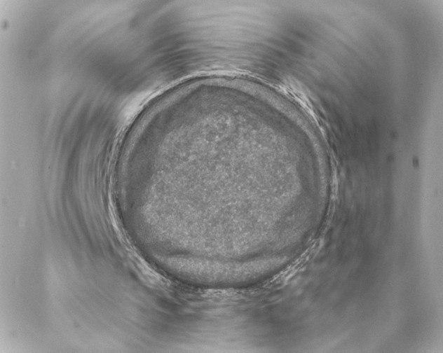 X0000088180145200706051150