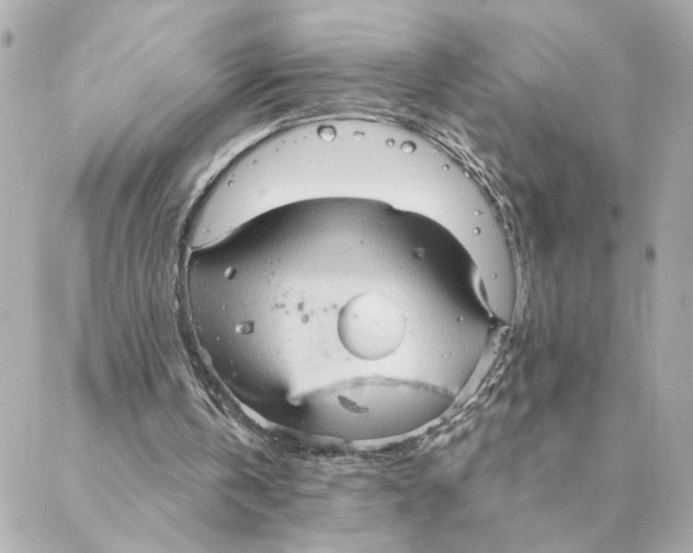 X0000088180146200706051150