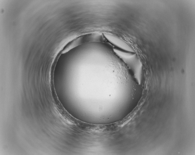 X0000088180148200706051150