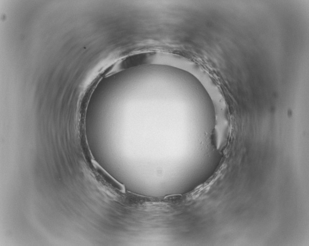 X0000088180150200706051150