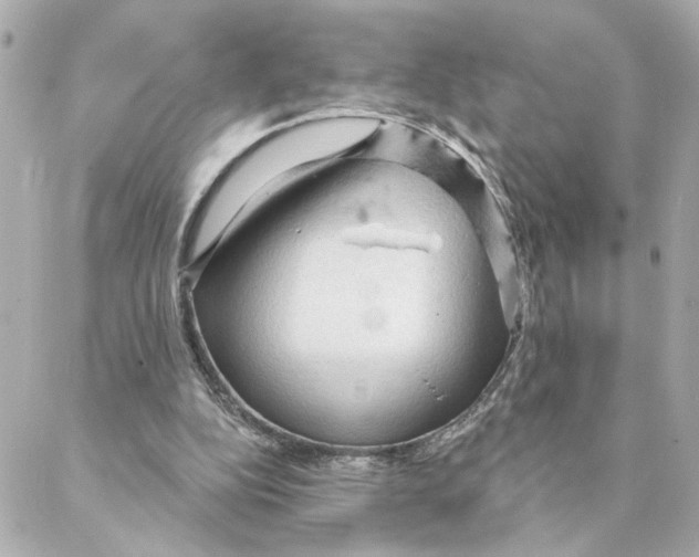 X0000088180152200706051150