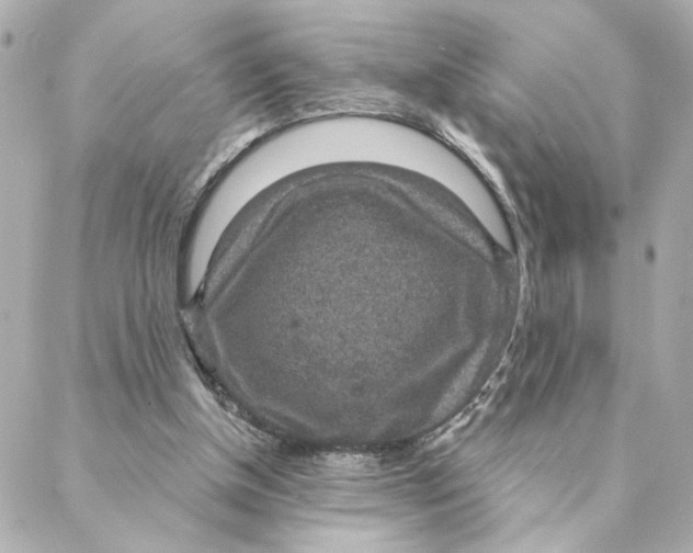 X0000088180154200706051150