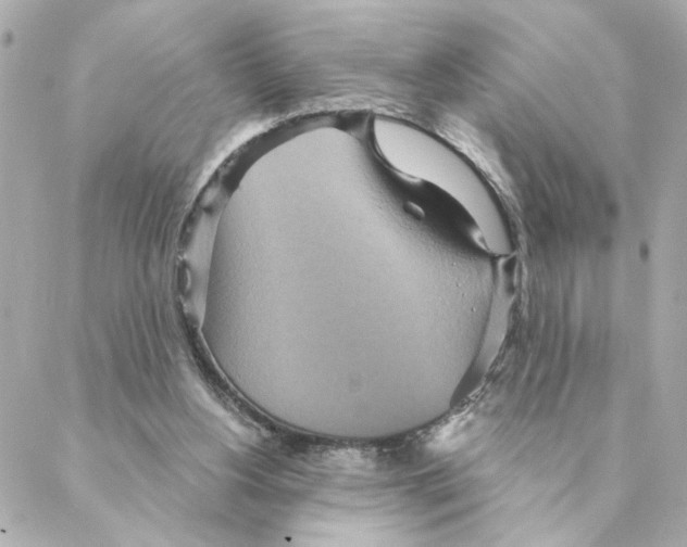 X0000088180156200706051150