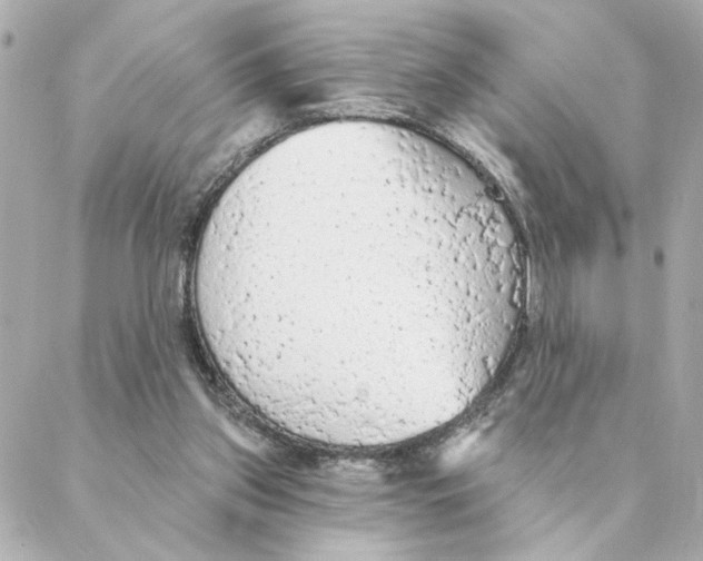 X0000088180157200706051150