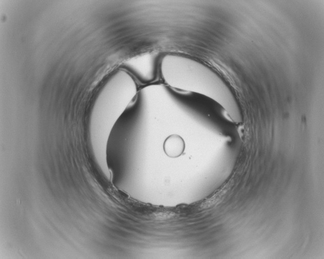 X0000088180158200706051150