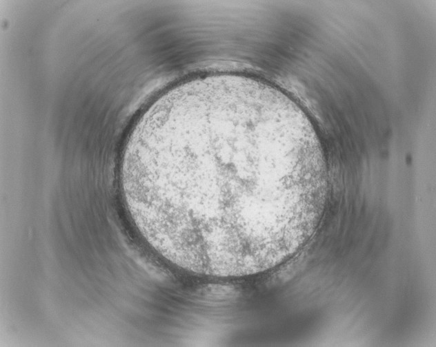 X0000088180159200706051150