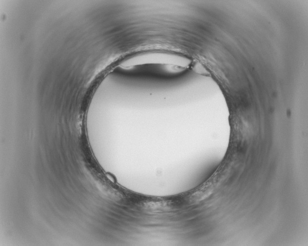 X0000088180160200706051150