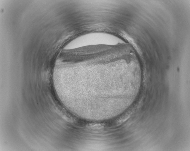 X0000088180161200706051150