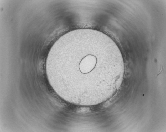 X0000088180162200706051150