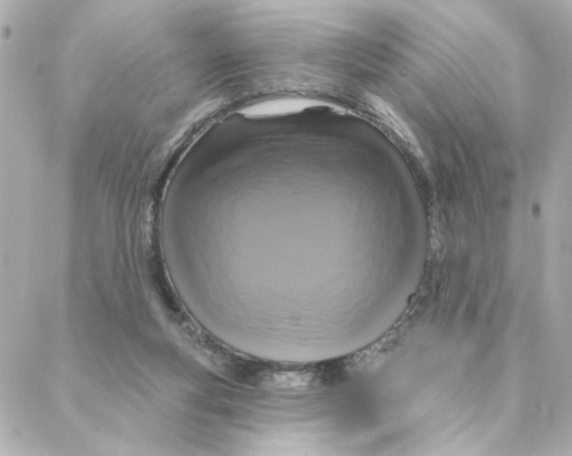 X0000088180163200706051150