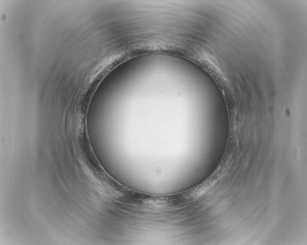 X0000088180164200706051150