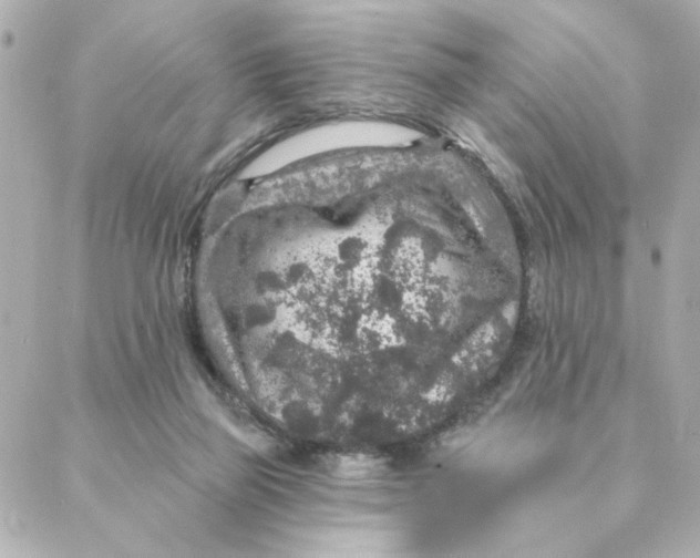 X0000088180165200706051150