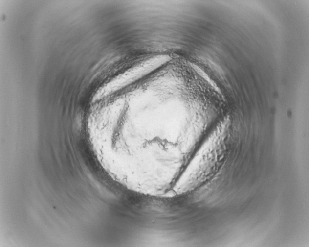 X0000088180166200706051150