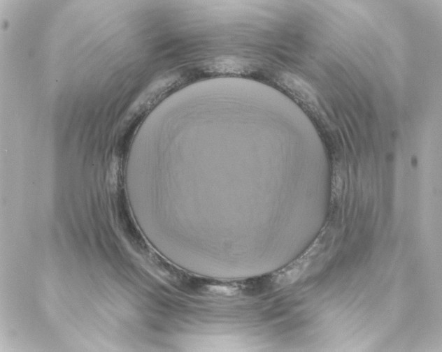 X0000088180167200706051150