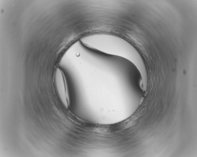 X0000088180168200706051150