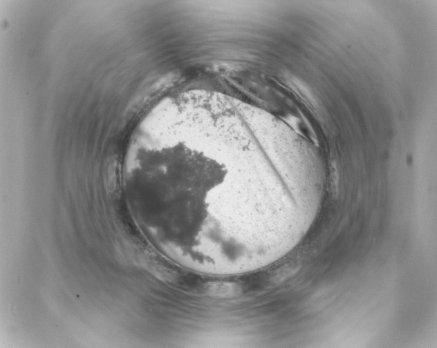 X0000088180169200706051150