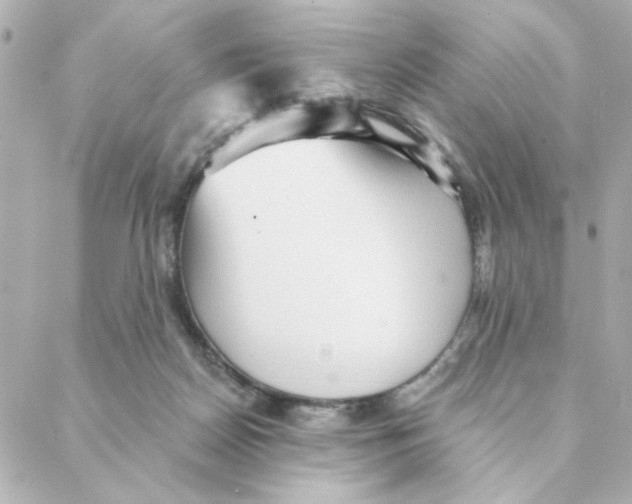 X0000088180170200706051150