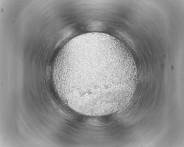 X0000088180171200706051150