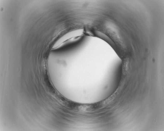 X0000088180172200706051151