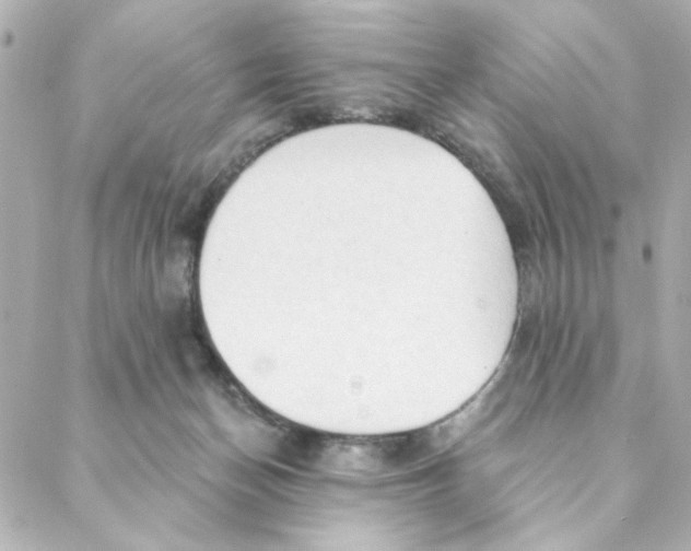 X0000088180174200706051151