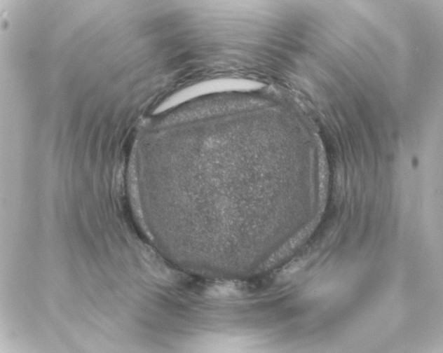 X0000088180177200706051151