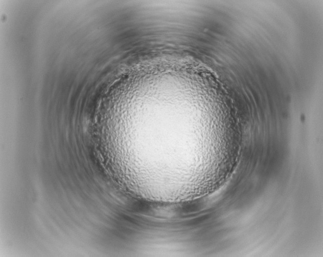 X0000088180178200706051151