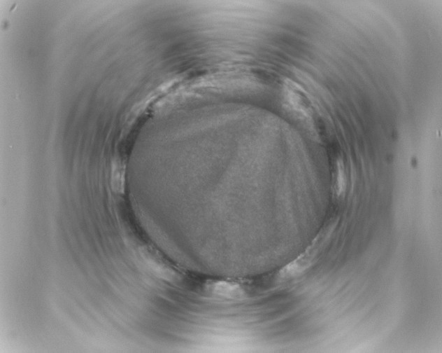 X0000088180180200706051151