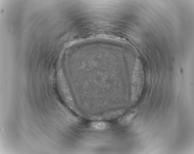 X0000088180181200706051151