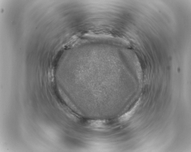 X0000088180182200706051151