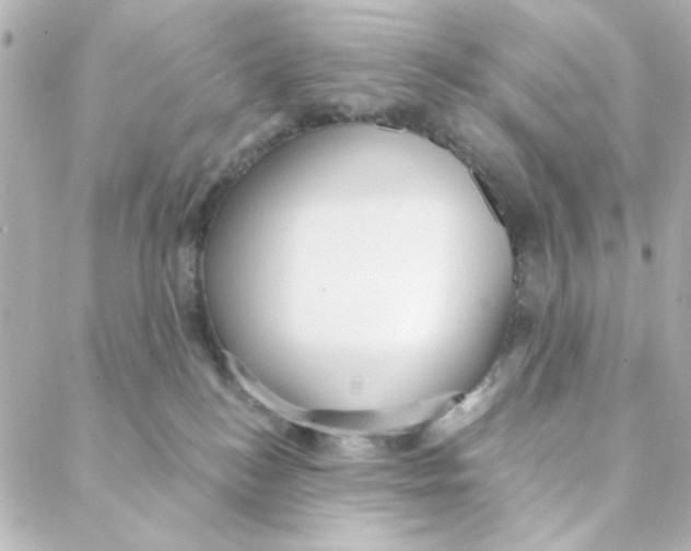 X0000088180184200706051151