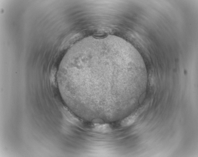 X0000088180185200706051151