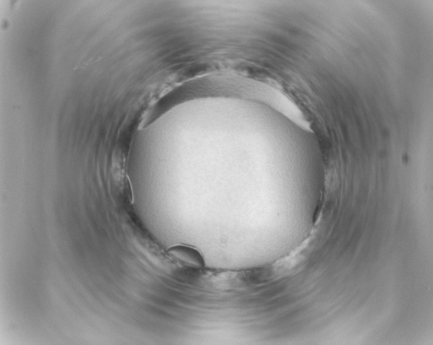 X0000088180186200706051151