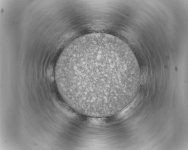 X0000088180187200706051151