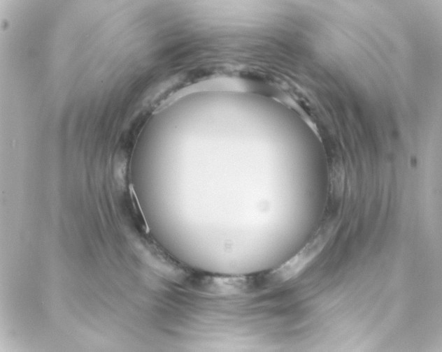 X0000088180188200706051151