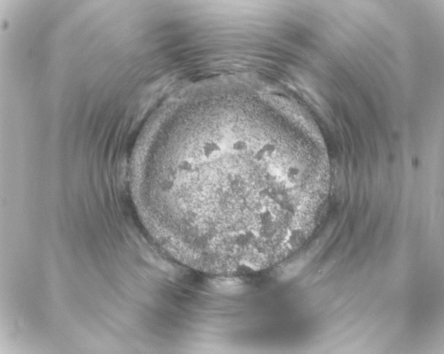 X0000088180189200706051151