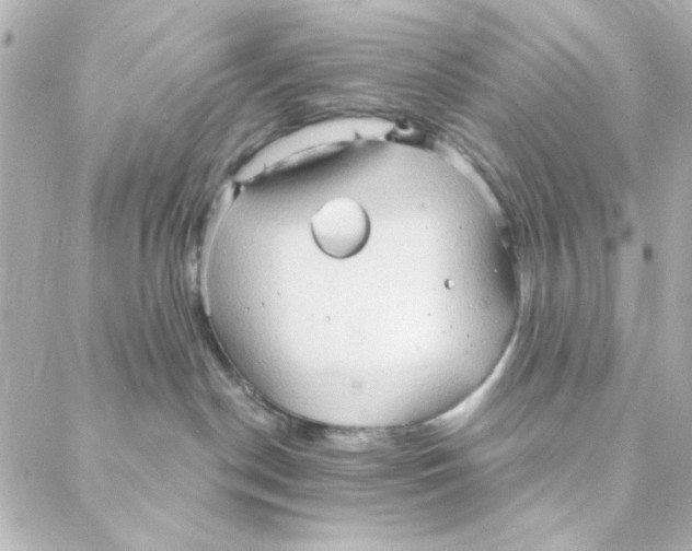 X0000088180190200706051151