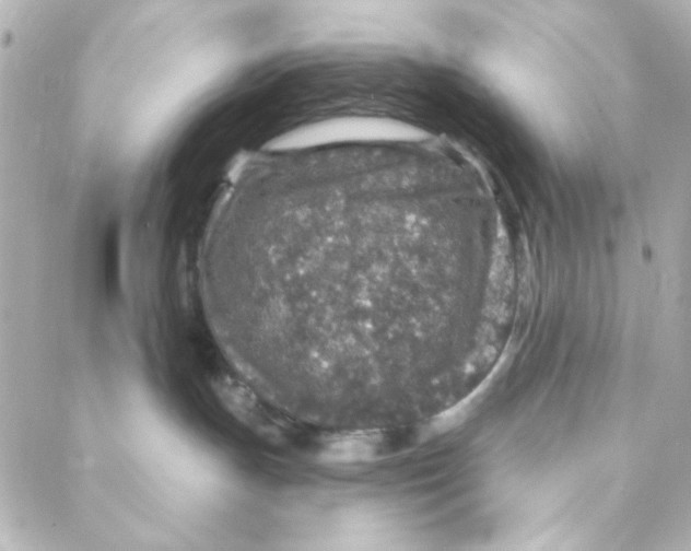 X0000088180191200706051151