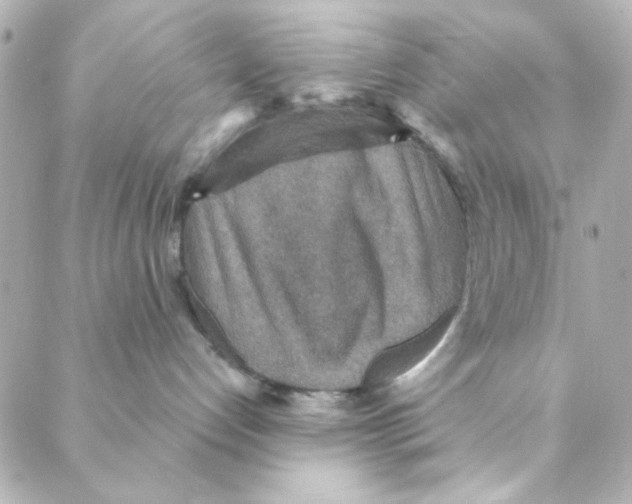 X0000088180192200706051151