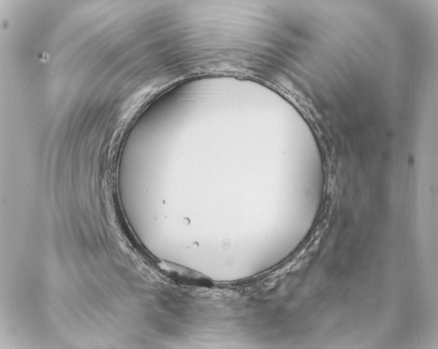 X0000088180193200706051150