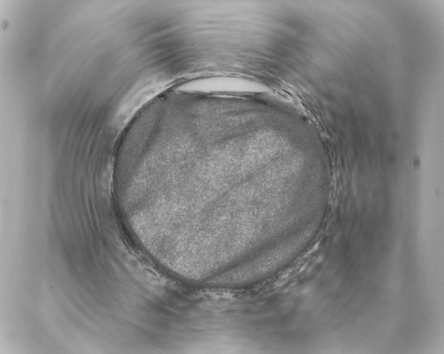 X0000088180194200706051150