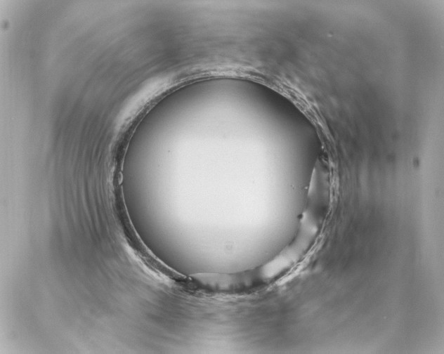 X0000088180197200706051150