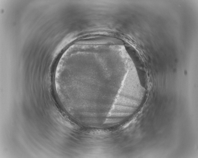 X0000088180198200706051150