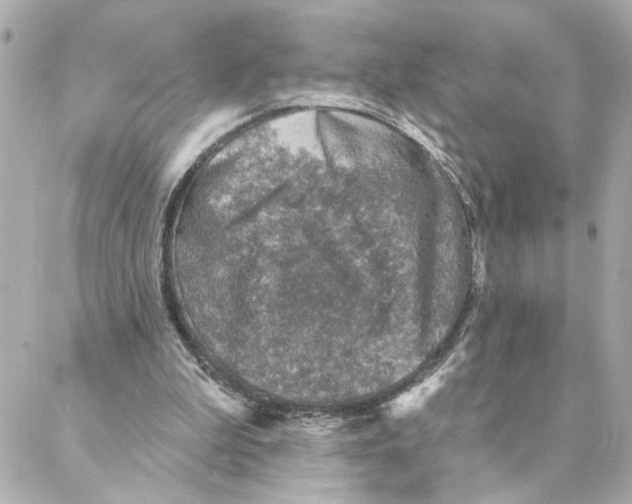 X0000088180199200706051150