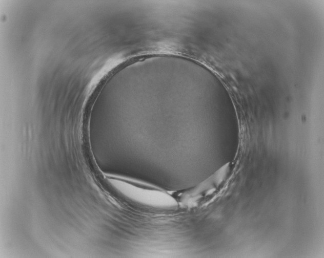 X0000088180200200706051150