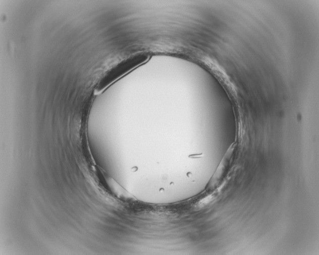 X0000088180201200706051150