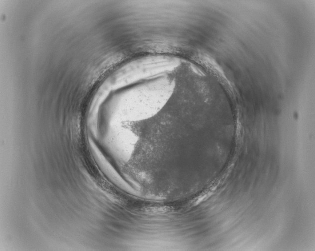 X0000088180202200706051150