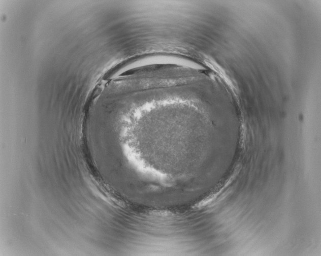 X0000088180203200706051150