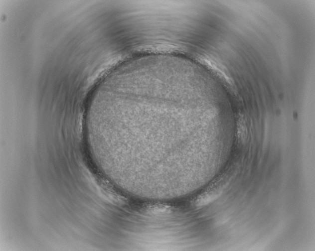 X0000088180206200706051150